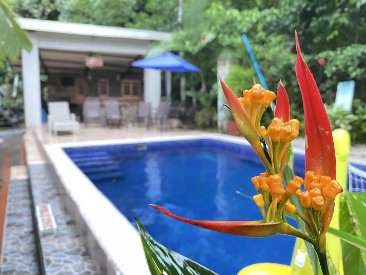 La Posada Jungle Hotel Nationalpark Nationalpark Manuel Antonio Exterior foto