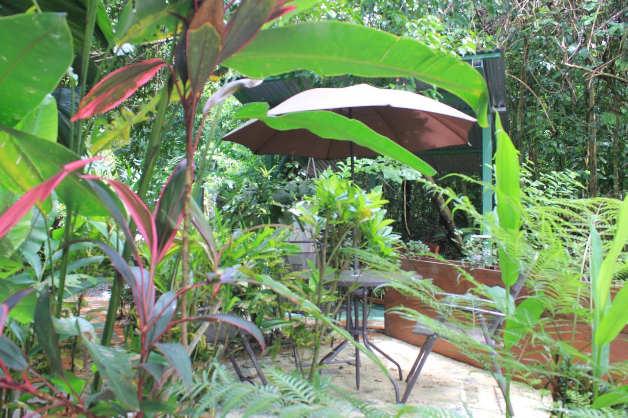 La Posada Jungle Hotel Nationalpark Nationalpark Manuel Antonio Exterior foto