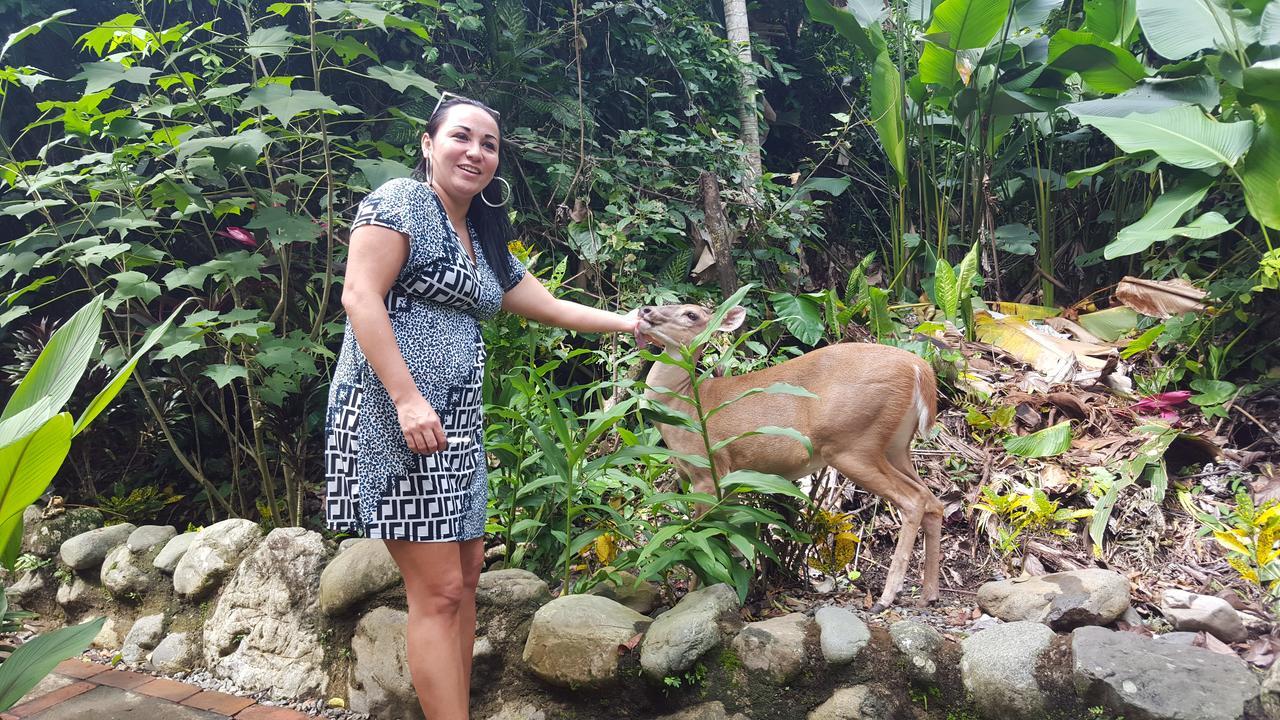 La Posada Jungle Hotel Nationalpark Nationalpark Manuel Antonio Exterior foto